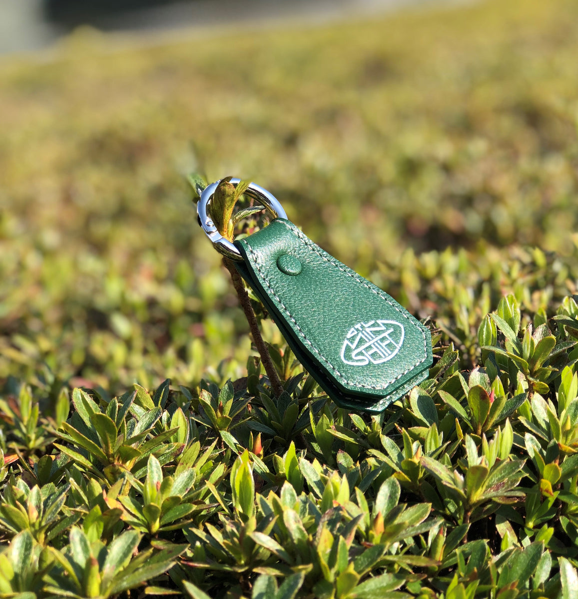 IMG_8115_1200x1200.jpg?v=